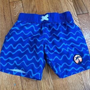 Cat & Jack Toddler Boy Bathing Suit 4T Like New Worn Once